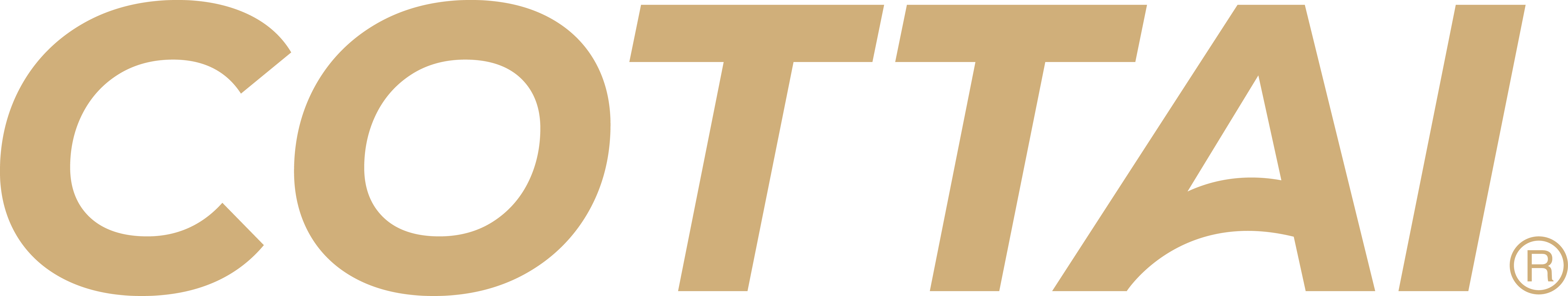 瑞得林國際股份有限公司-Logo