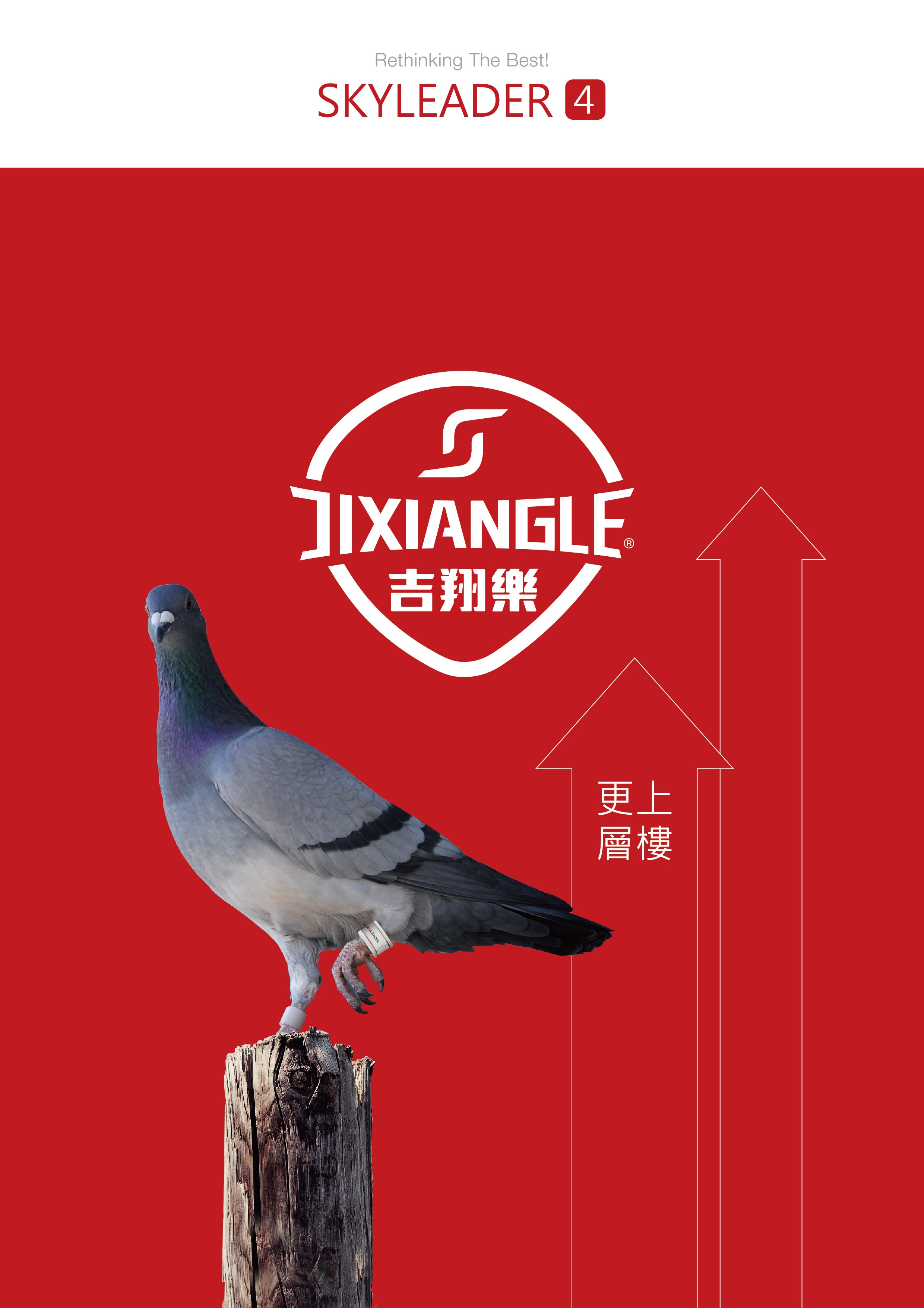 GPS pigeon identification tracker ring 4