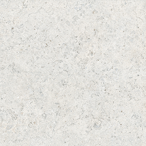 Fossil Shells Inkjet Printing Porcelain Tile / White Horse Ceramic Co., Ltd.