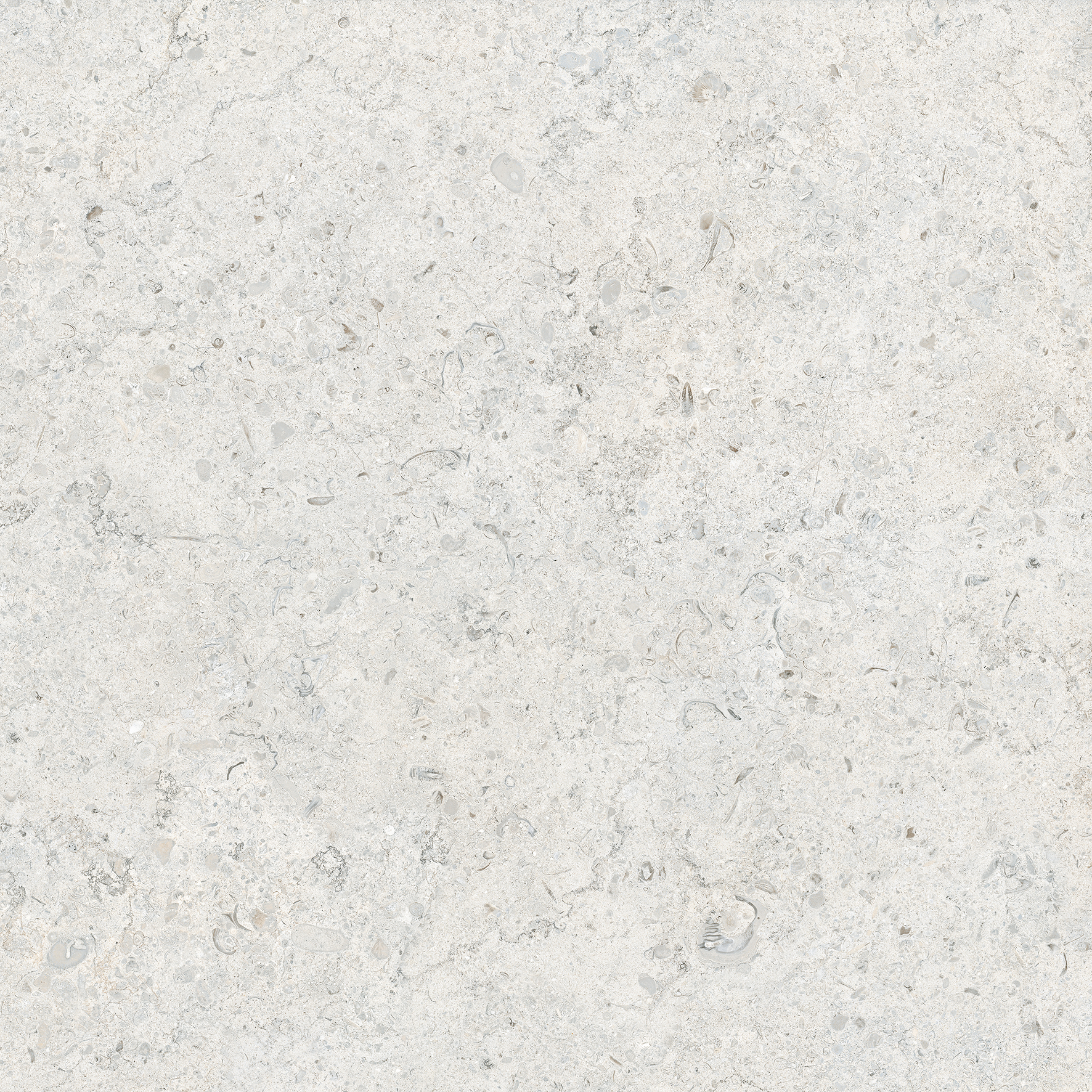 Fossil Shells Inkjet Printing Porcelain Tile