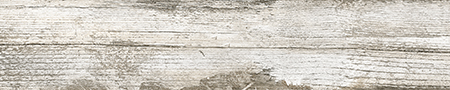 Happy Forest Inkjet Printing Porcelain Tile / White Horse Ceramic Co., Ltd.