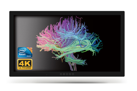 ACCEL 32-inch 4K UHD Surgical Work Station / ONYX Healthcare Inc.