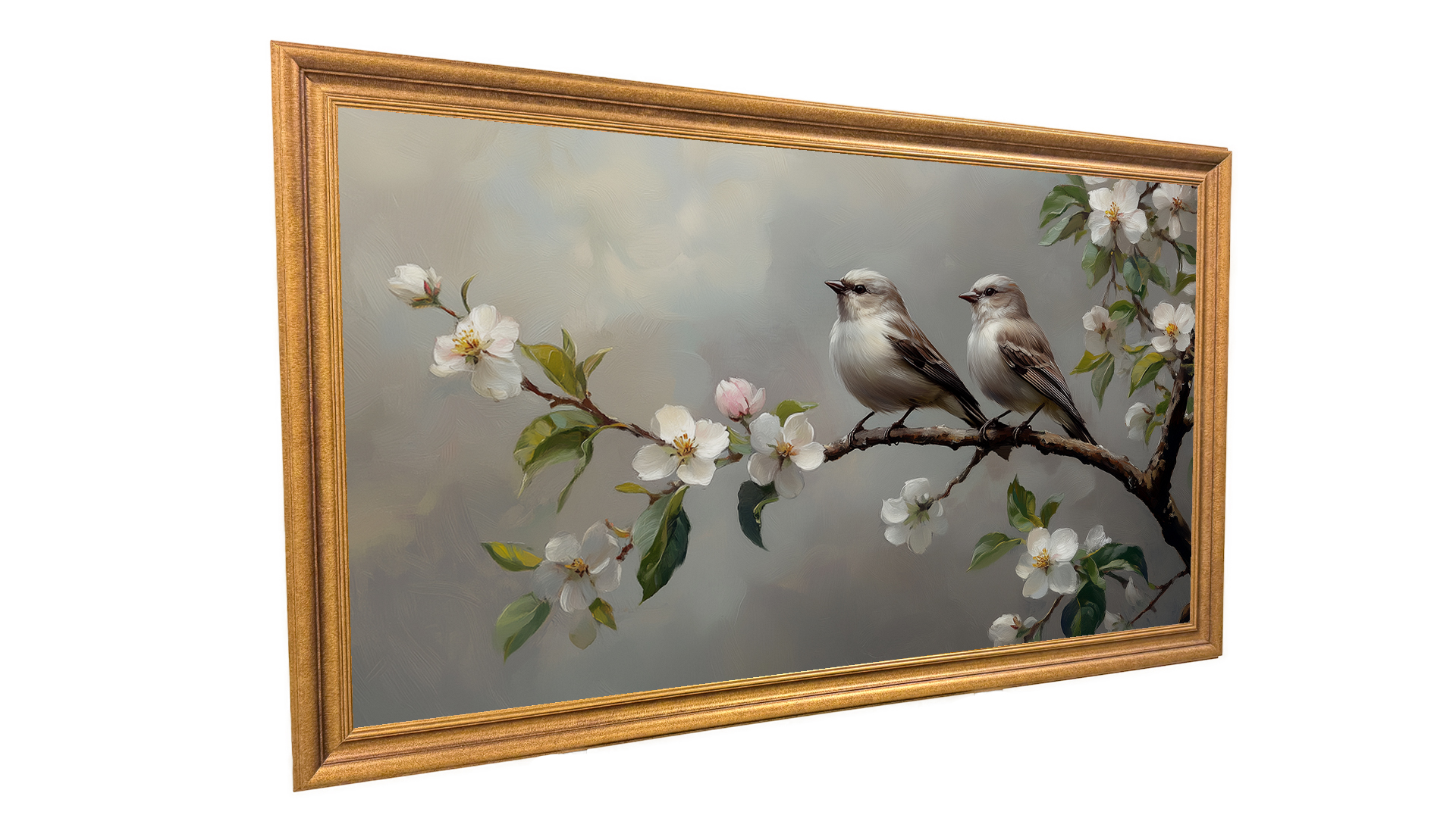 Echo InnoGallery