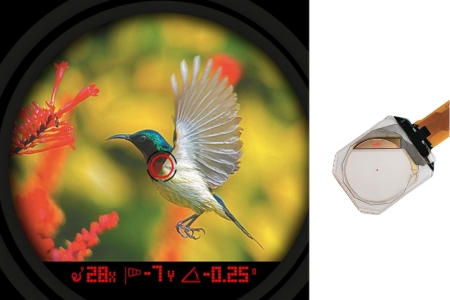 Flawless Triad-View Transparent OLED Module / WiseChip Semiconductor Inc.
